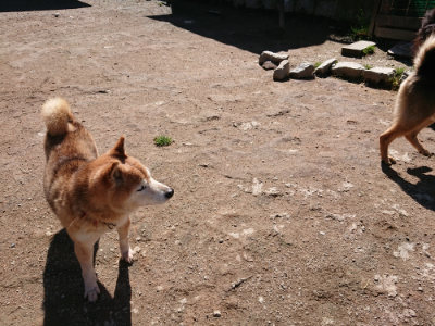 f:id:roukenhome-ann:20190507122002j:plain