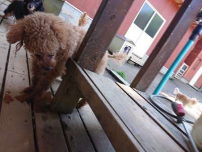 f:id:roukenhome-ann:20190507122012j:plain