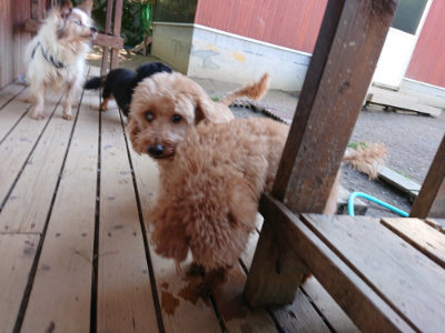 f:id:roukenhome-ann:20190507122021j:plain