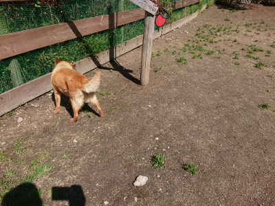 f:id:roukenhome-ann:20190507122107j:plain