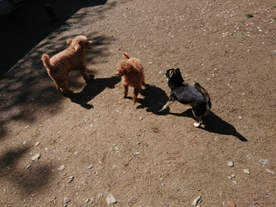 f:id:roukenhome-ann:20190507122120j:plain