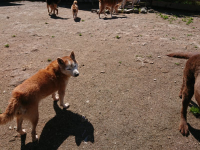 f:id:roukenhome-ann:20190507122131j:plain