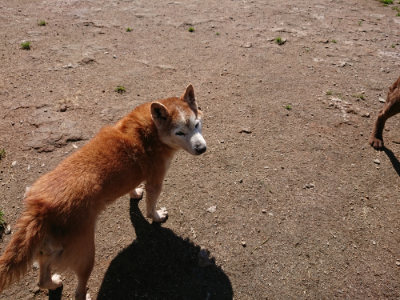 f:id:roukenhome-ann:20190507122150j:plain