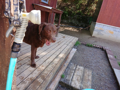 f:id:roukenhome-ann:20190507122234j:plain