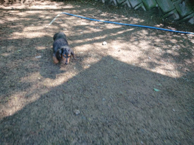 f:id:roukenhome-ann:20190507122249j:plain