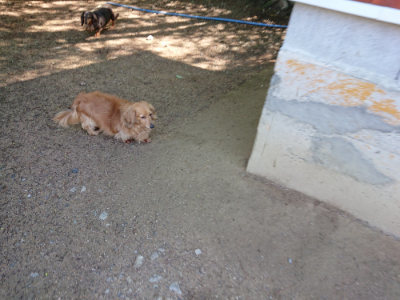 f:id:roukenhome-ann:20190507122312j:plain