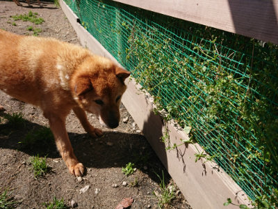 f:id:roukenhome-ann:20190507122330j:plain