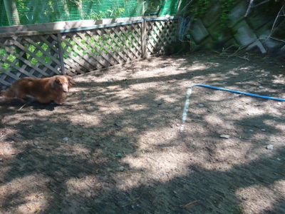 f:id:roukenhome-ann:20190507122337j:plain