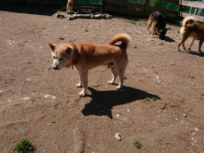 f:id:roukenhome-ann:20190507122409j:plain