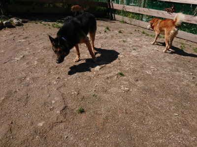 f:id:roukenhome-ann:20190507122450j:plain