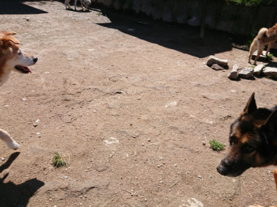 f:id:roukenhome-ann:20190507122603j:plain