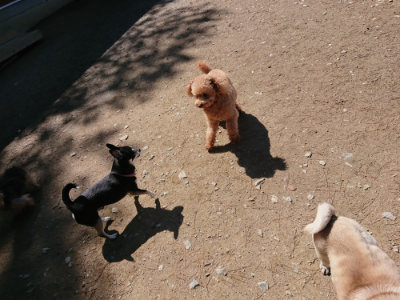 f:id:roukenhome-ann:20190507122625j:plain