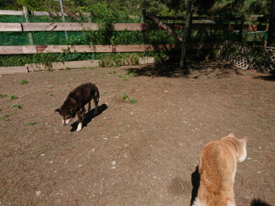 f:id:roukenhome-ann:20190507122701j:plain