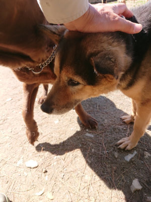 f:id:roukenhome-ann:20190507122722j:plain