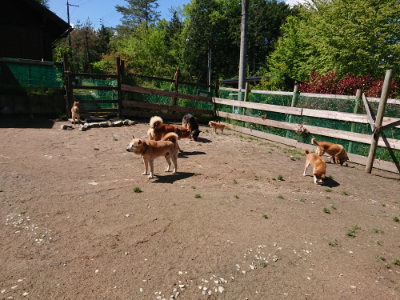 f:id:roukenhome-ann:20190507122744j:plain