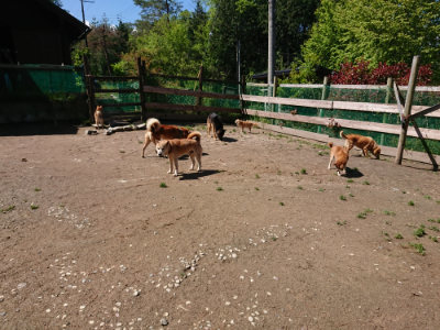 f:id:roukenhome-ann:20190507122759j:plain