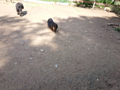 f:id:roukenhome-ann:20190507123055j:plain