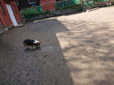 f:id:roukenhome-ann:20190507123101j:plain