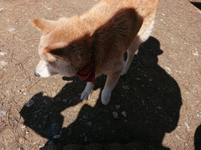 f:id:roukenhome-ann:20190507123118j:plain