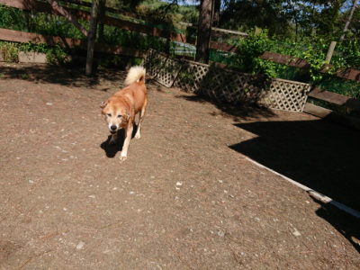 f:id:roukenhome-ann:20190507123138j:plain