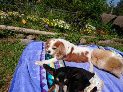 f:id:roukenhome-ann:20190507123228j:plain