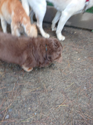 f:id:roukenhome-ann:20190507123348j:plain