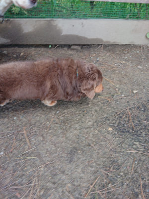 f:id:roukenhome-ann:20190507123412j:plain