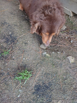 f:id:roukenhome-ann:20190507123434j:plain