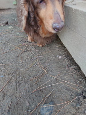 f:id:roukenhome-ann:20190507123439j:plain
