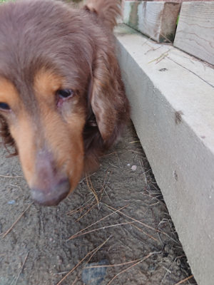 f:id:roukenhome-ann:20190507123444j:plain