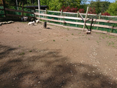 f:id:roukenhome-ann:20190507123511j:plain
