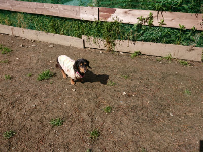 f:id:roukenhome-ann:20190507123517j:plain
