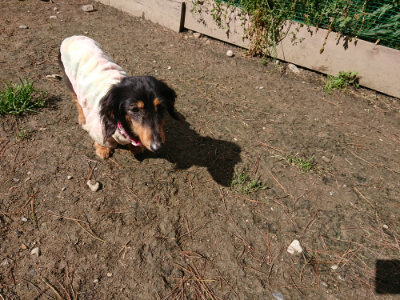 f:id:roukenhome-ann:20190507123524j:plain