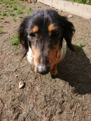f:id:roukenhome-ann:20190507123529j:plain