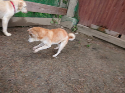 f:id:roukenhome-ann:20190507123545j:plain