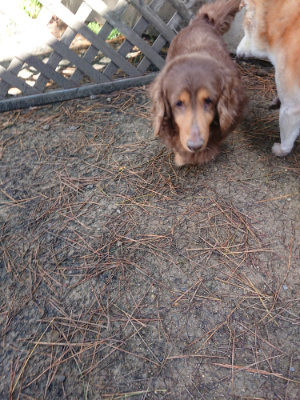 f:id:roukenhome-ann:20190507123558j:plain