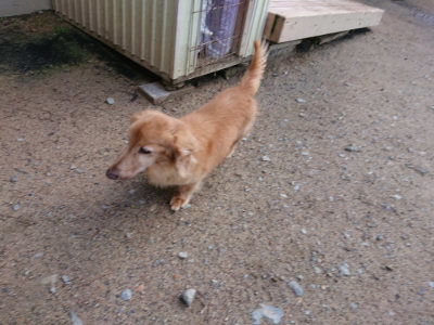 f:id:roukenhome-ann:20190507123613j:plain