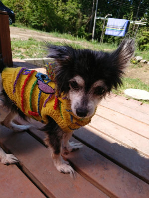 f:id:roukenhome-ann:20190509075821j:plain