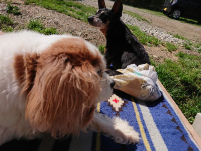 f:id:roukenhome-ann:20190509075931j:plain