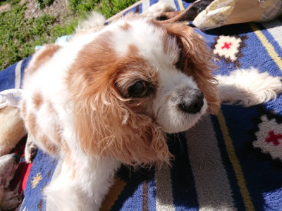 f:id:roukenhome-ann:20190509075940j:plain
