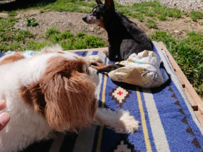 f:id:roukenhome-ann:20190509075944j:plain