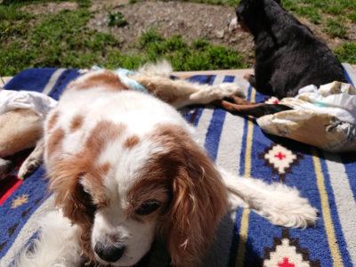 f:id:roukenhome-ann:20190509075945j:plain