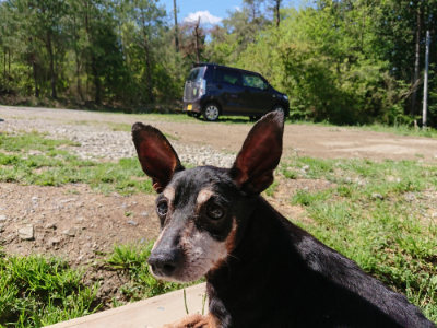 f:id:roukenhome-ann:20190509075950j:plain