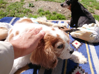 f:id:roukenhome-ann:20190509075954j:plain
