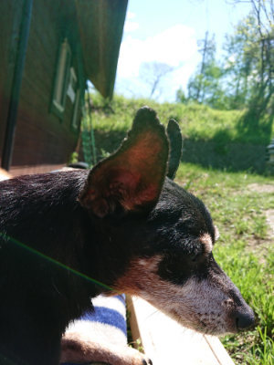 f:id:roukenhome-ann:20190509080029j:plain