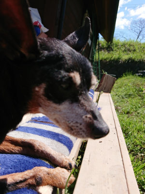 f:id:roukenhome-ann:20190509080052j:plain