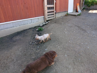 f:id:roukenhome-ann:20190509135410j:plain