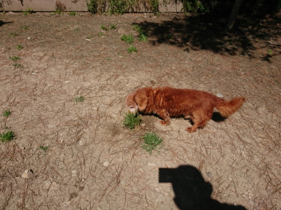f:id:roukenhome-ann:20190509135428j:plain