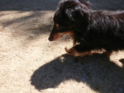 f:id:roukenhome-ann:20190509135434j:plain