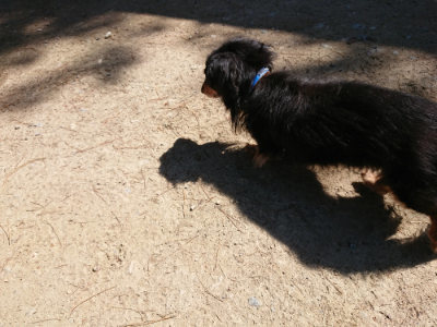 f:id:roukenhome-ann:20190509135453j:plain